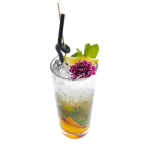 موهیتو